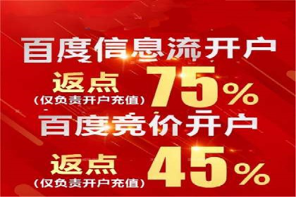 某电商平台的托管SEM竞价策略大揭秘